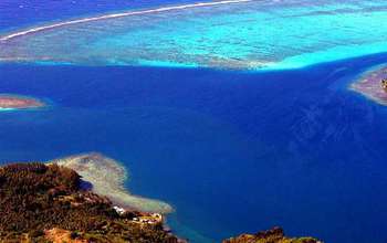 A coral reef oasis.